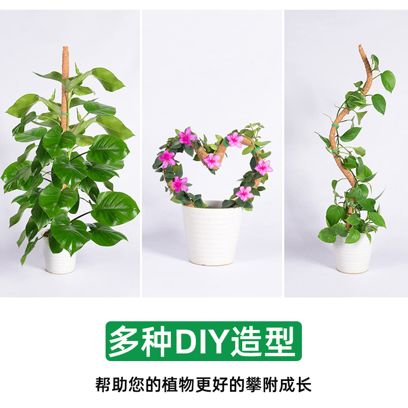 绿萝攀爬柱椰棕棒固定架龟背竹支撑杆植物花架棕榈柱可变形苔藓柱