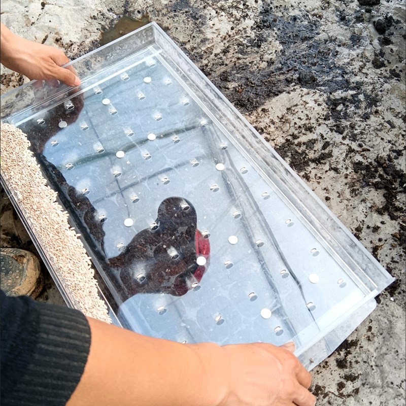 穴盘点播机器播种机漂浮盘播种器辣椒西红柿甘蓝玉米大葱白菜烤烟