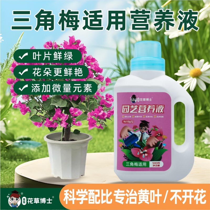 三角梅专用营养液枝繁叶茂促开花爆花家用花卉催花液体花肥肥料
