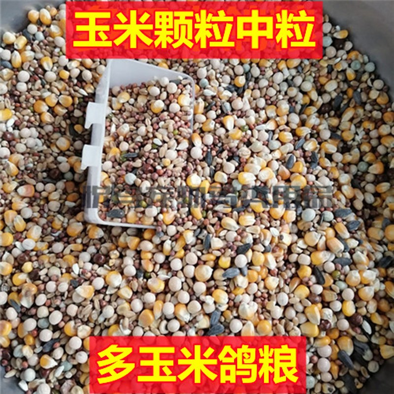 多玉米鸽子粮50斤 鸽粮广东包邮 鸟食信鸽肉鸽免邮饲料  赛鸽观赏