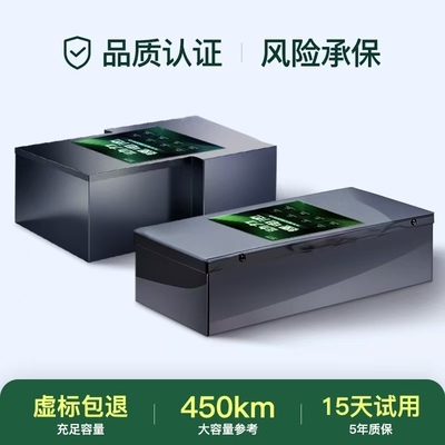 红闲九号极核小牛踏板直上锂电池