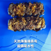 天然海藻绵滚筒加粗老海藻滚筒刷三色珠光艺术漆银箔漆涂料工具刷
