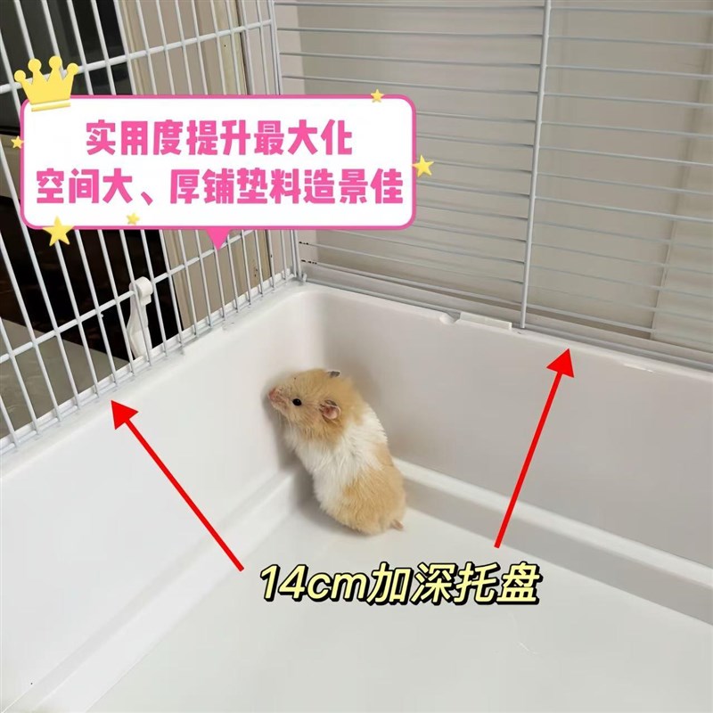 60基裸笼主题仓鼠顶开门式笼子金丝熊便宜大的加高笼子花枝鼠用品