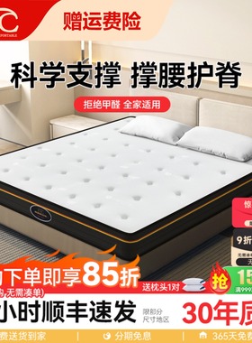 ESC弹簧床垫席梦思20cm厚家用护脊3D空气纤维椰棕记忆棉乳胶垫子