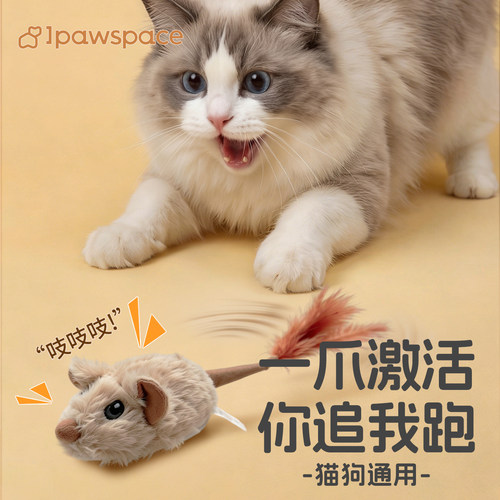 IPAWSPACE电动老鼠猫狗玩具