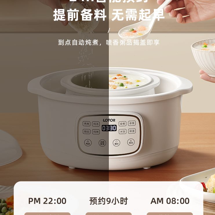 汤煲家用大容量炖燕窝电炖锅煮全电炖锅/煲汤锅/电炖