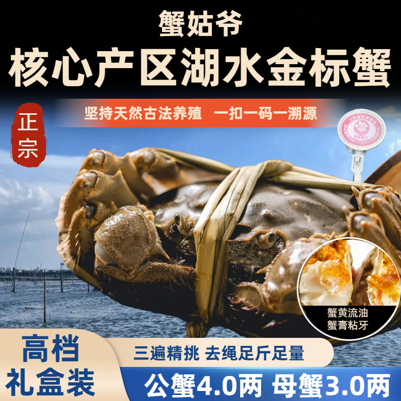 活蟹苏州阳澄探花特大大闸蟹湖鲜公4.0两母3.0两10只官方旗舰礼盒