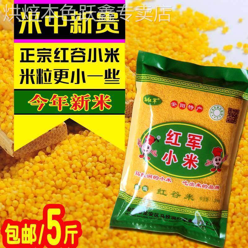河南安阳特产红军小米马投涧黄小米2024新米红谷小米月子米宝宝米