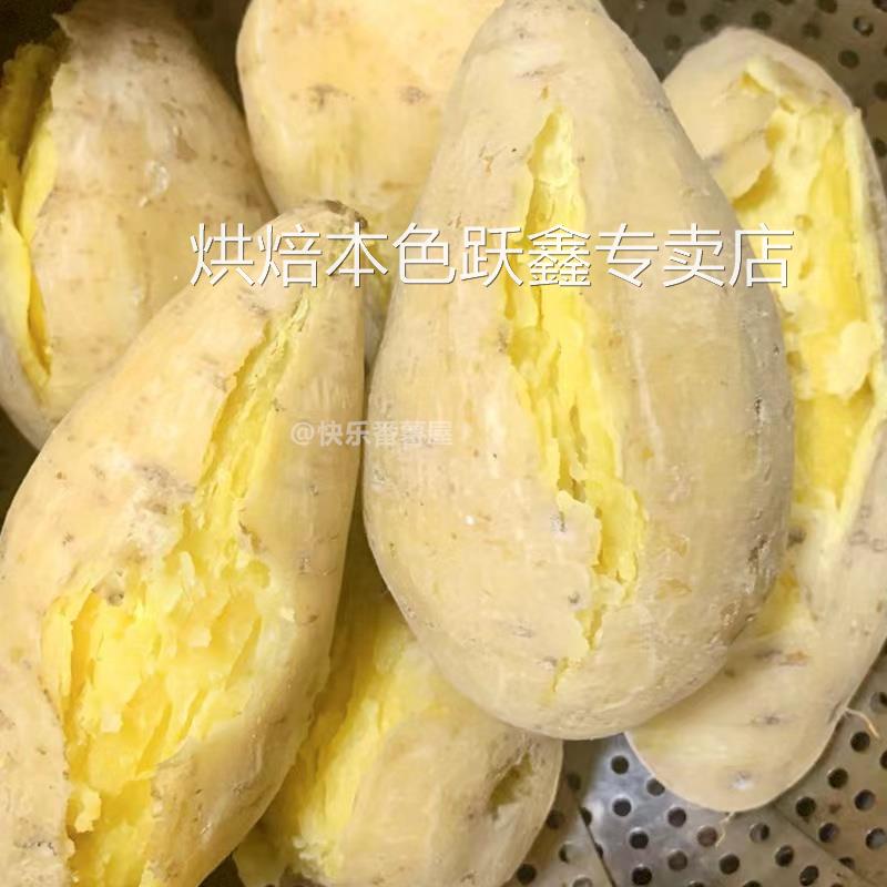 广东正宗潮汕白皮黄心板栗薯香甜粉糯现挖农家鸡蛋黄番薯地瓜包邮
