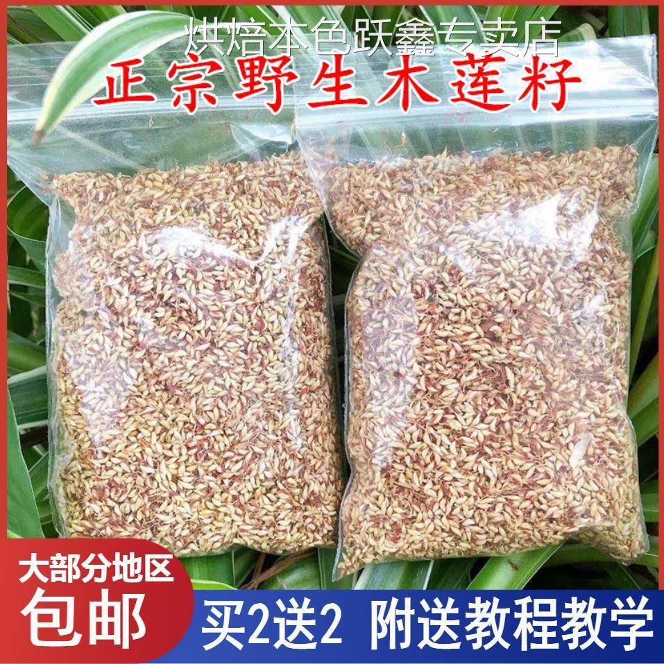 浙江诸暨特产木莲豆腐木莲子野生木莲籽爱玉子冰粉籽薜荔籽凉粉籽