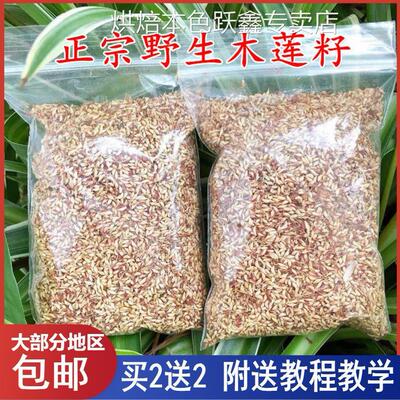 浙江诸暨特产木莲豆腐木莲子野生木莲籽爱玉子冰粉籽薜荔籽凉粉籽