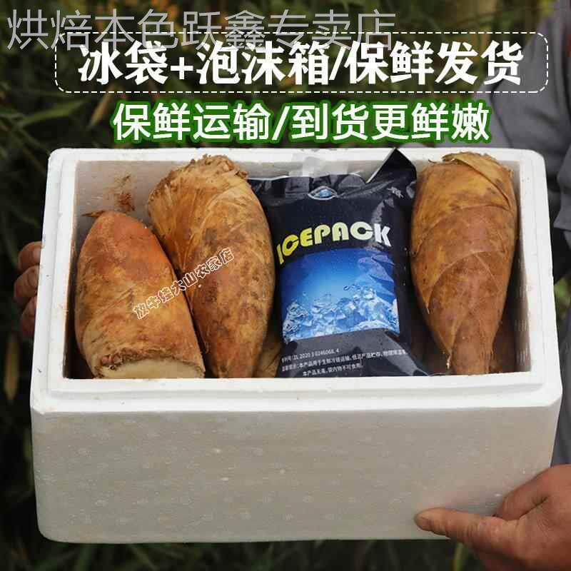 去老根 | 福建黄泥冬笋新鲜现挖毛竹笋正宗农家鲜冬笋10/5斤