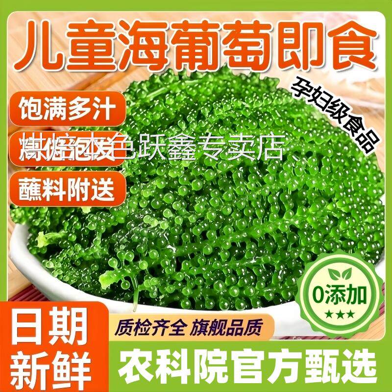 农科院甄选儿童海葡萄即食新鲜孕妇吃零食营养健康网红官方旗舰店