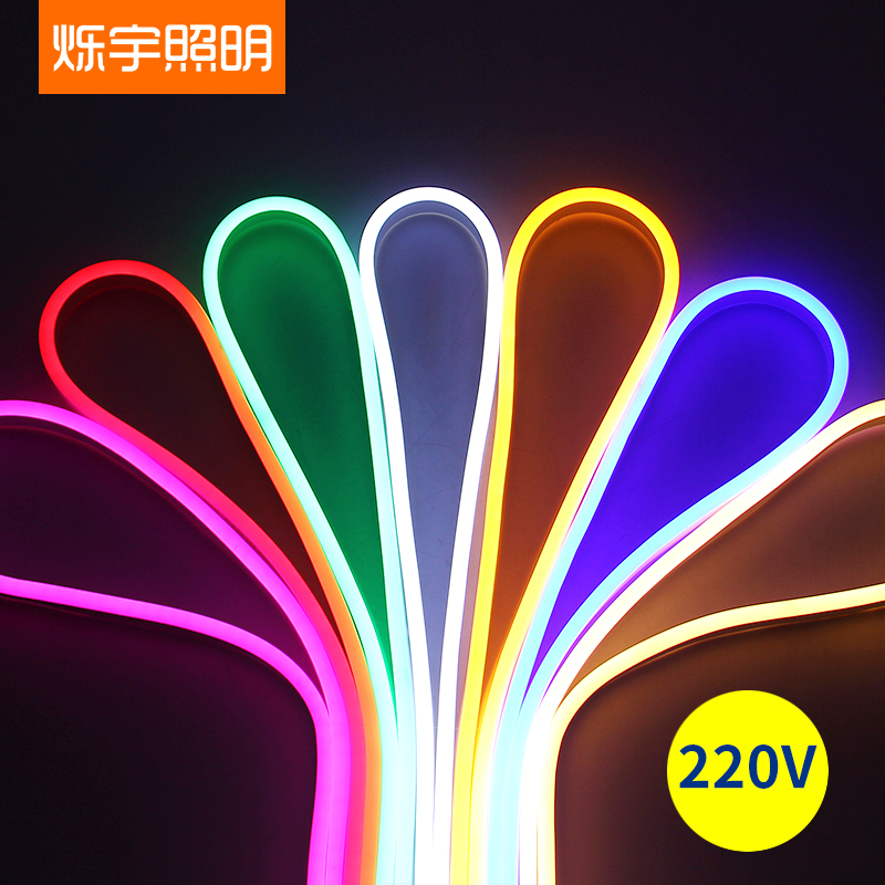 led柔性灯带霓虹灯七彩闪烁变色超亮装饰户外防水灯条线条灯220v