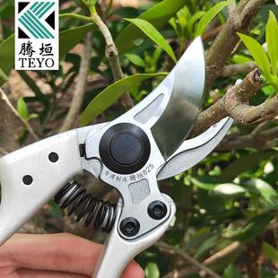 台湾腾垣825剪枝剪果树修枝剪植物修花剪刀家用园艺粗枝省力剪