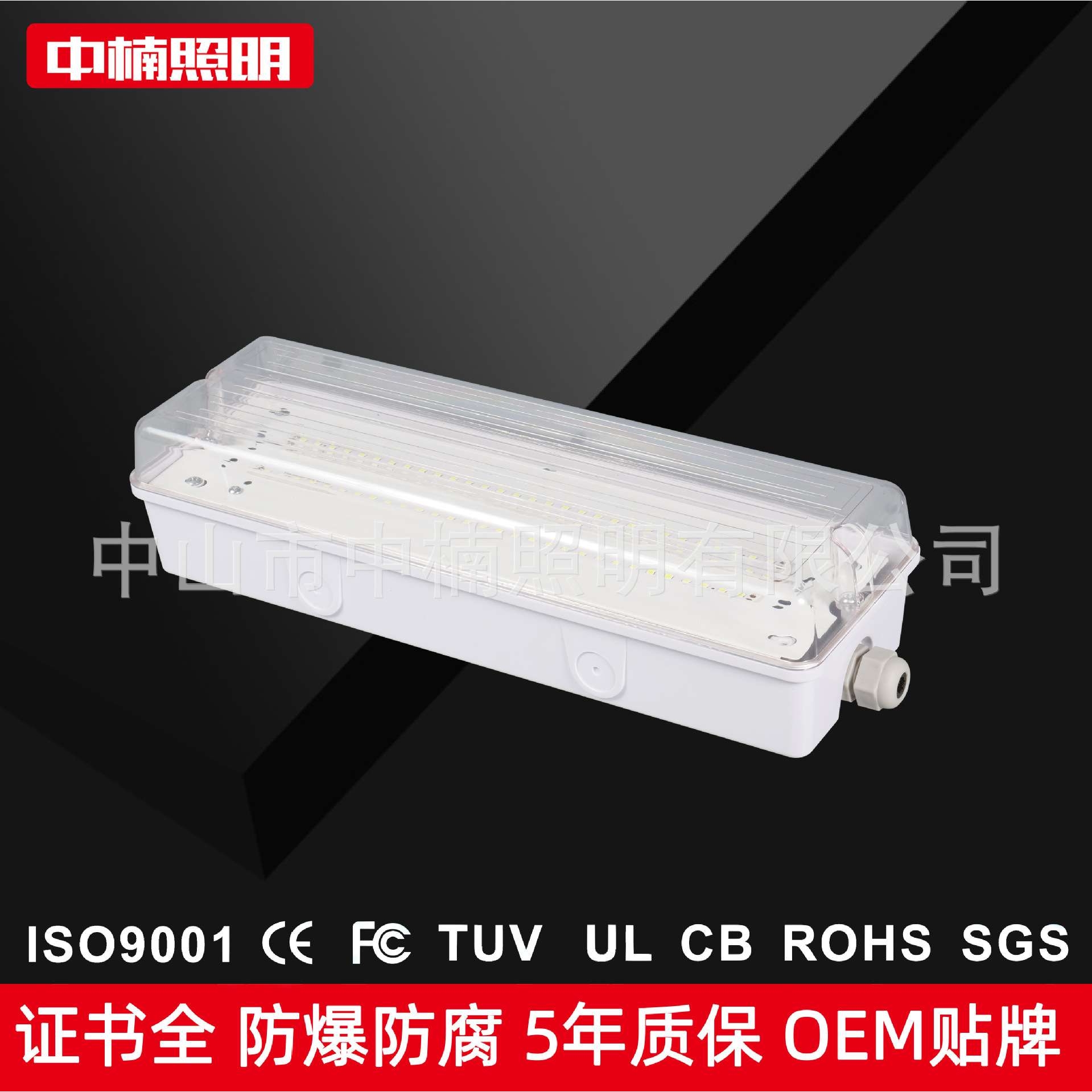 LED三防灯IP65吸顶壁灯10w 30cm防水隧道电缆管道应急90min照明灯