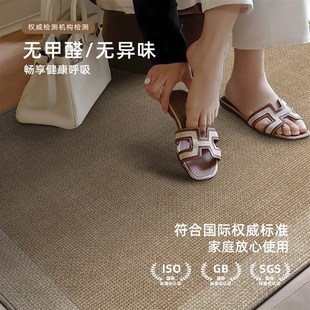 入户门地垫高级感进门B大门口耐脏防滑脚垫可裁剪玄关地 2025新款
