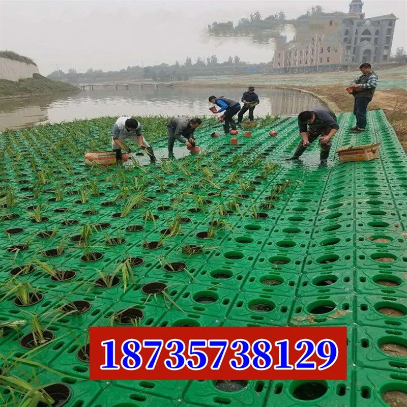 生态浮岛人工浮岛植物生态浮床z净化水质水面绿化河道净化景观专