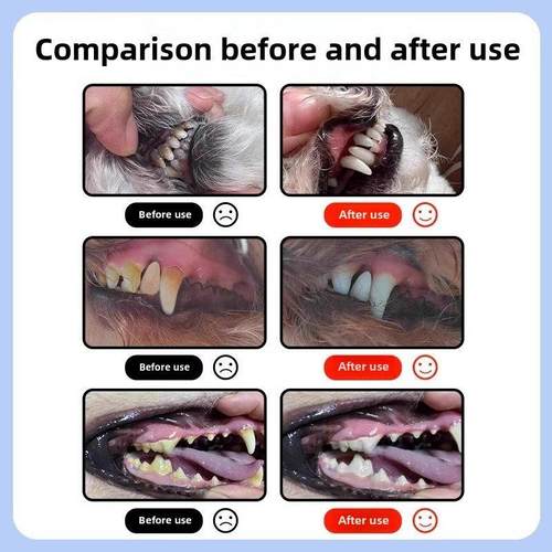 采购产品宠物牙齿清洁，狗牙石去除笔，猫牙刷，狗牙刷，通用的口