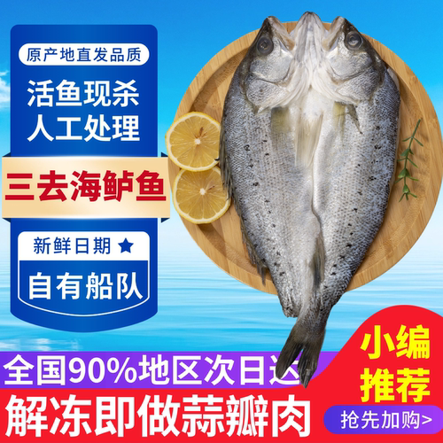开背海鲈鱼新鲜冷冻深海鱼七星海鲈鱼三去半成品烤鱼商用海鲜水产