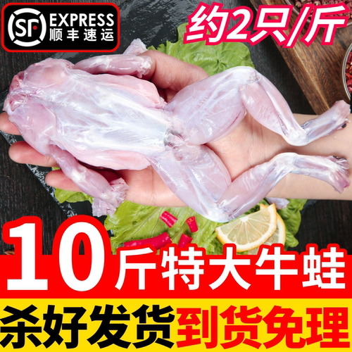 牛蛙鲜活新鲜冷冻特大田鸡蛙肉