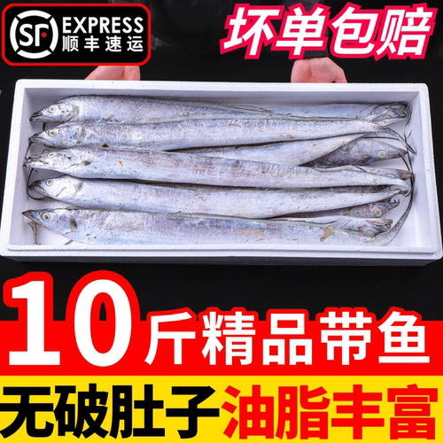 小编推荐款雷达网大带鱼