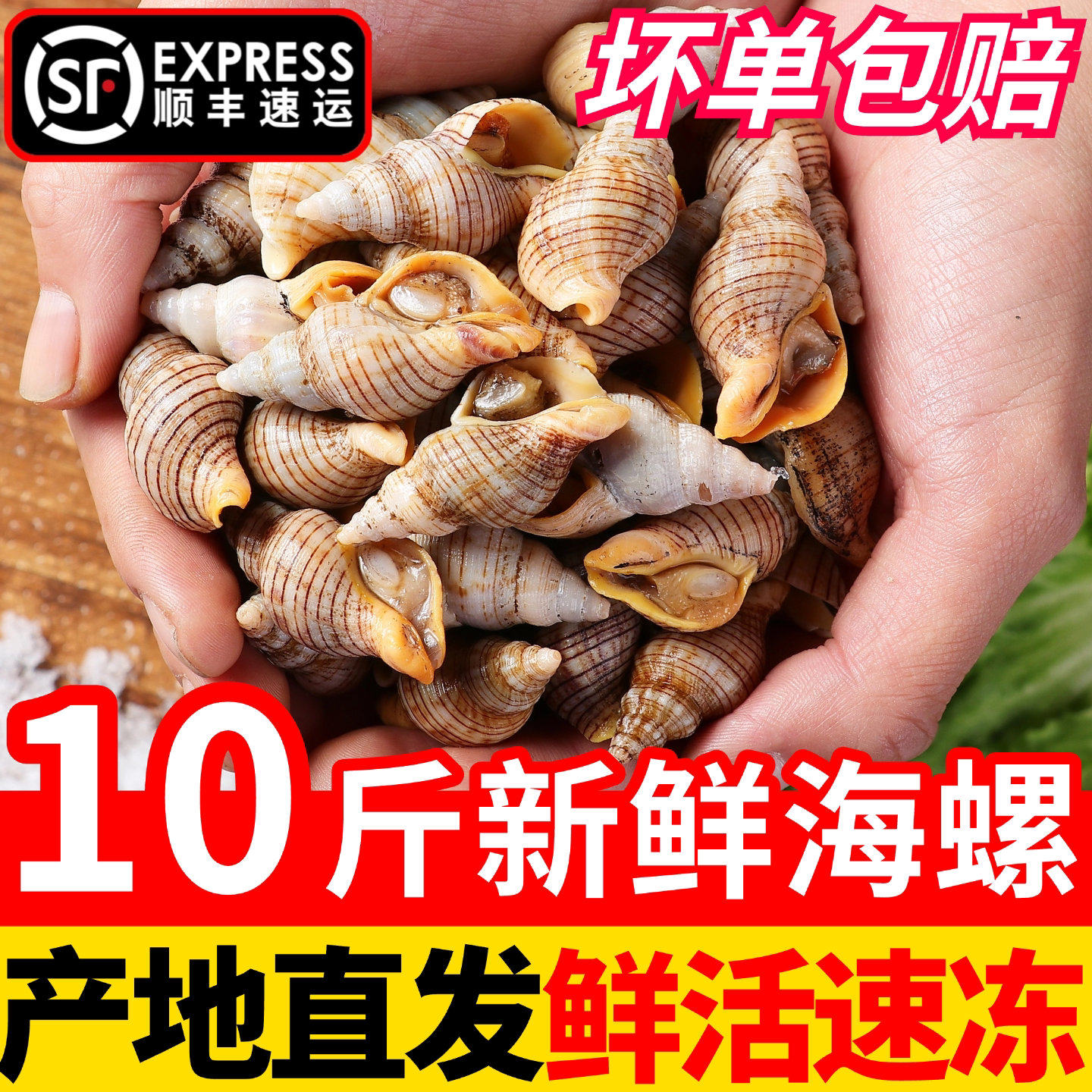 新鲜小海螺贝贝螺红枣螺冷冻贝类生鲜花螺香螺活冻海瓜子水产顺丰