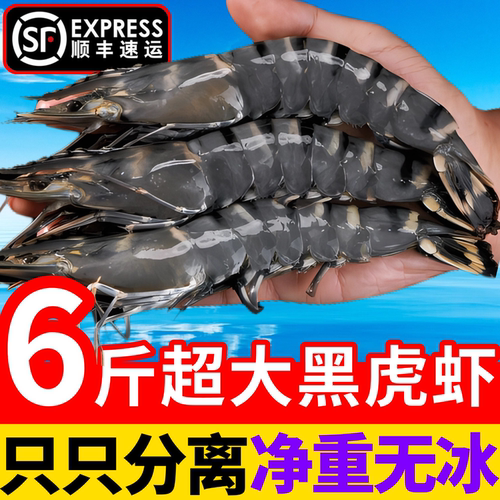 黑虎虾鲜活超大新鲜大虾对虾基围虾斑九节虾海虾活虾速冻海鲜水产