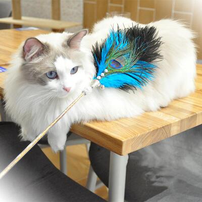 鸵鸟毛逗猫棒羽毛仙女带铃铛幼猫猫玩具自嗨解闷神器猫咪耐咬长杆
