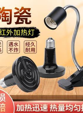 陶瓷加热灯红外线育雏保温灯灯泡灯架套装陆龟蜥蜴鹦鹉宠物取暖灯