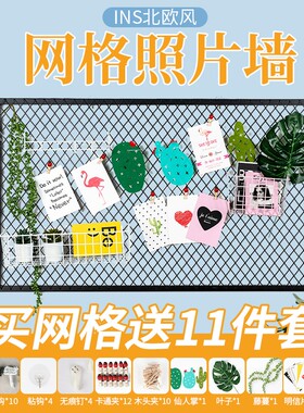 铁艺网照片墙g宿舍简约网菱形格ins客厅墙面装饰网格置物架展示架