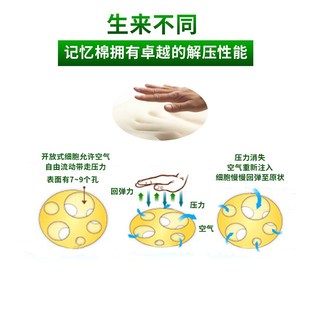 政府补贴15%睡眠科学小美人万用枕记忆枕趴趴枕午睡枕差旅枕腰枕