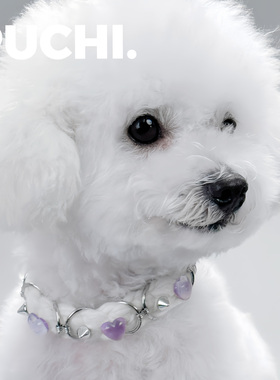 《Pet.心愿石》毛绒紫色水晶石宠物项圈金属甜酷猫狗项链