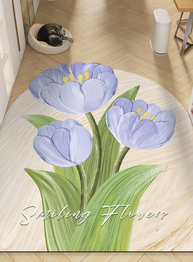 高级感入户门地垫门口耐脏脚垫门垫进门玄关地毯PUVC可擦免洗裁剪