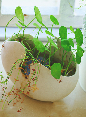 创意另类蛋壳形陶瓷花盆 花器家居桌面装饰品装 工艺品