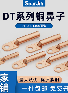 级DT铜鼻子95852平方接线端子
