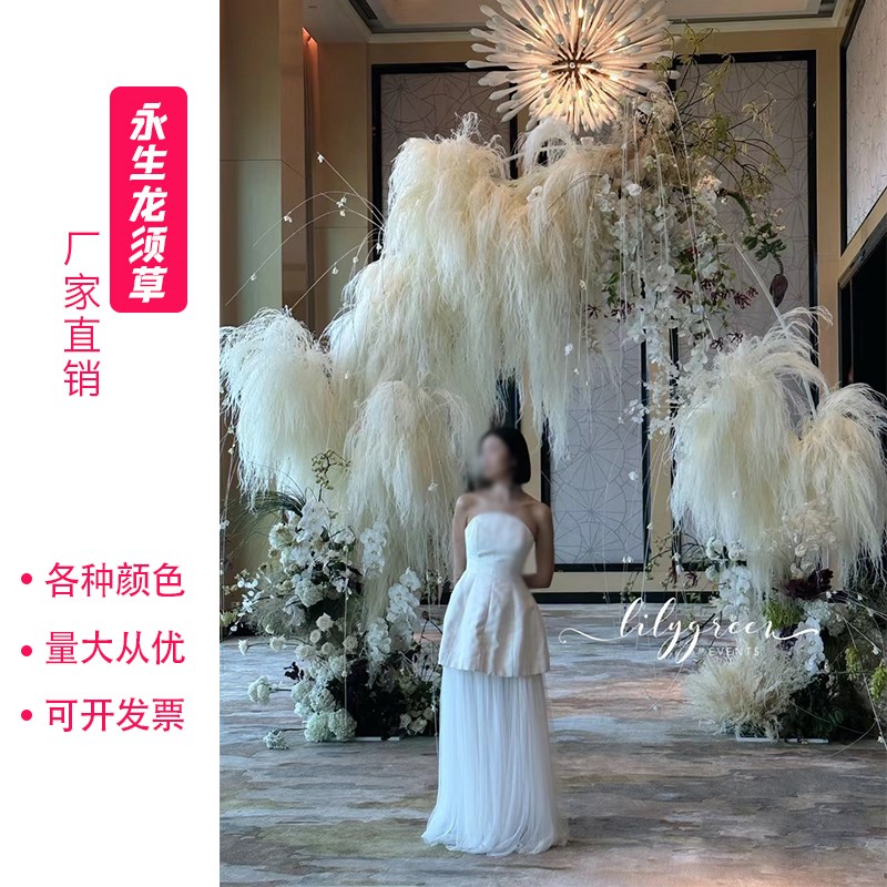 龙须草永生花梦幻羽毛草干花婚庆装饰软装花艺悬挂花材吊米文竹真