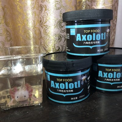 变异六角恐龙鱼粮食颗粒饲料娃娃鱼西方蝾螈东方蝾螈饲料鱼食罐装