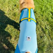 新款 防尘衣金毛 防蚊虫防水狗狗户外四脚衣中大型犬宠物高弹力修身