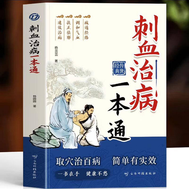刺血治病一本通 中国民间刺血术疗法治百病大全 速成中医阅读书籍