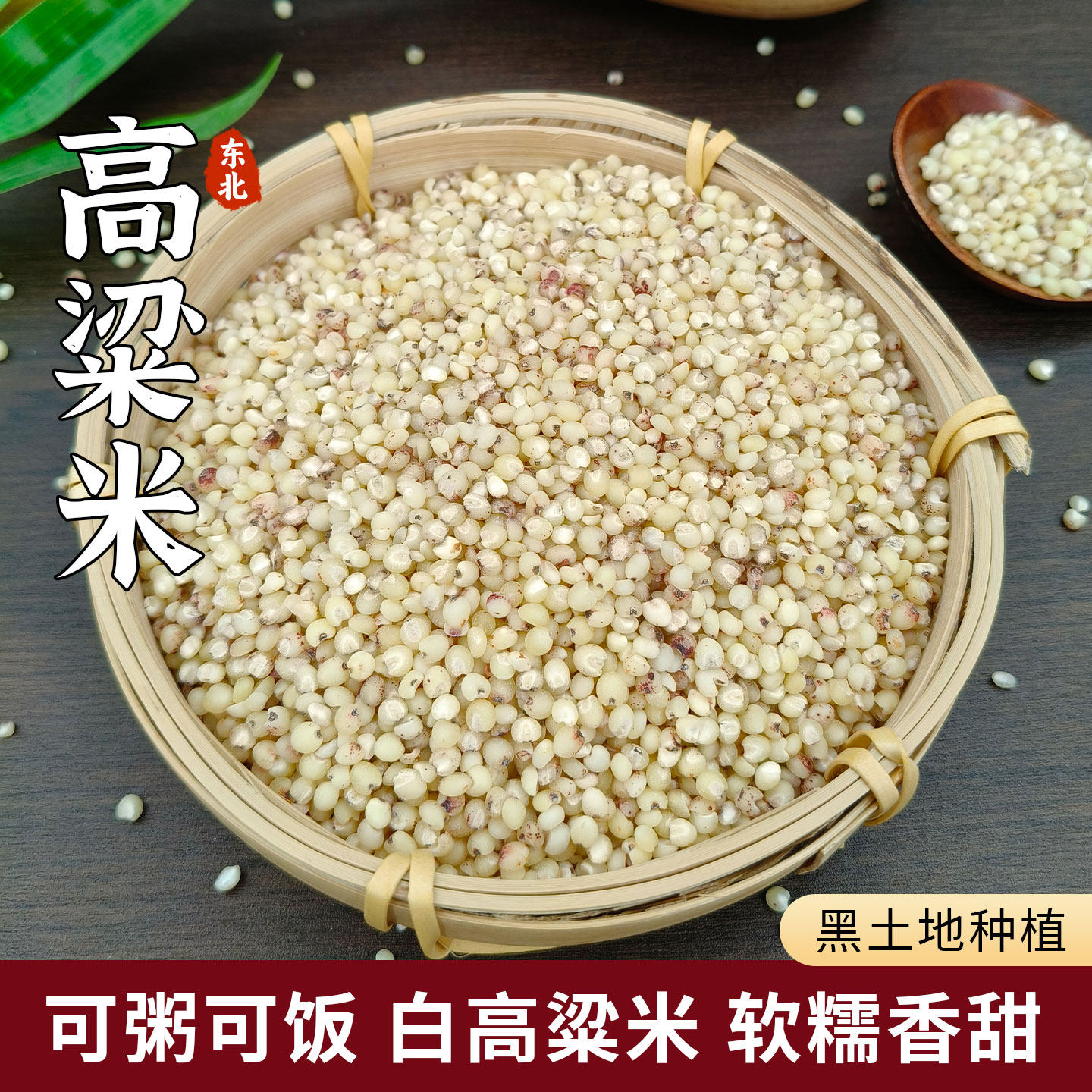 东北特产白高粱米2025年新米农家自产五谷杂粮健康粗粮黑山红高梁