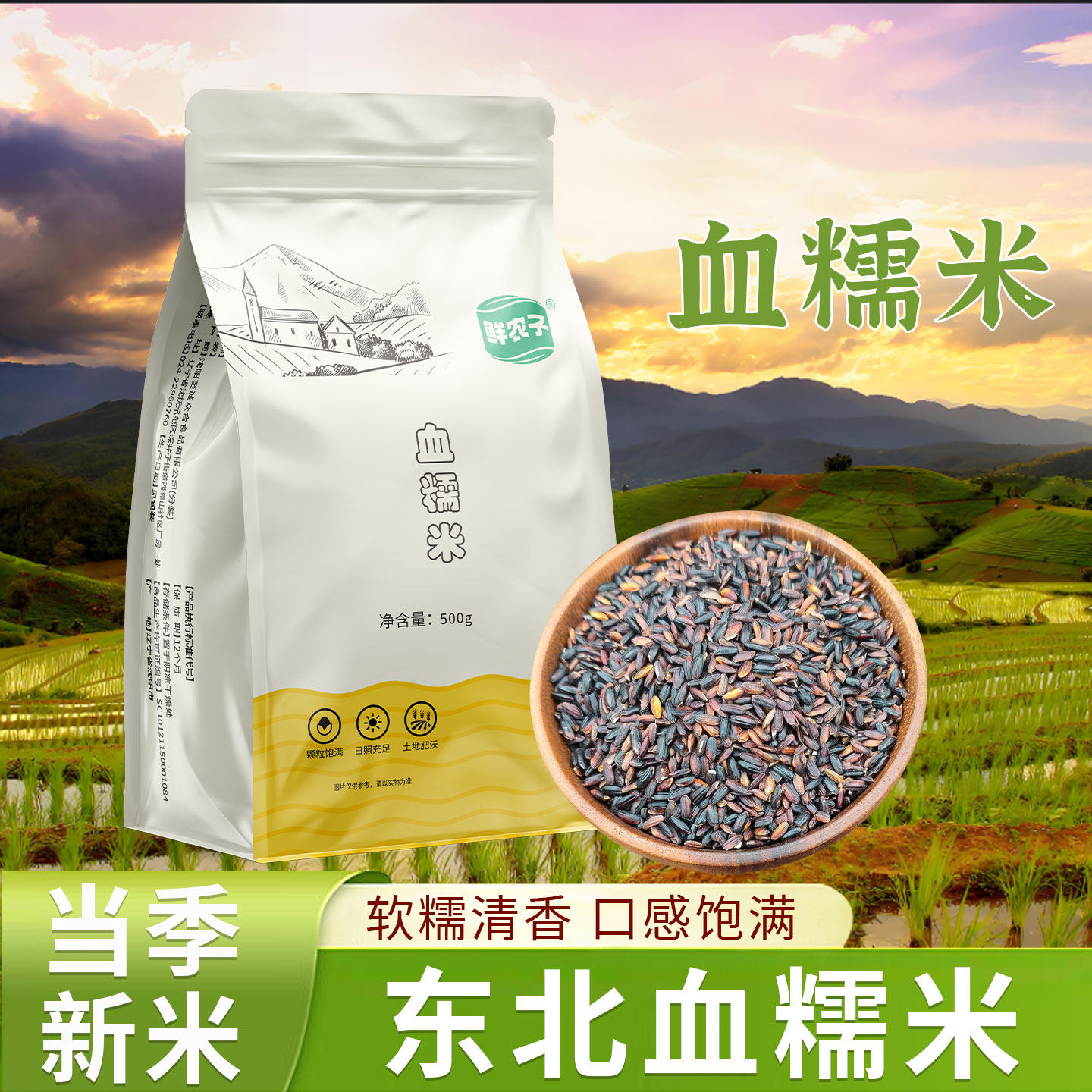 东北血糯米新货馅料烘焙奶茶店专用醪糟酒酿糯米粥八宝饭粽子原料