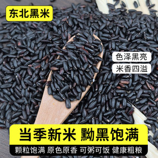 东北黑米25年农家新米5斤正宗香米煮粥五谷杂粮糙米饭血糯米散装