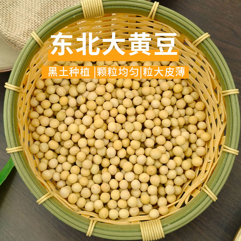 黄豆打豆浆专用农家自种东北非转基因新小黄豆批发本地老品种大豆