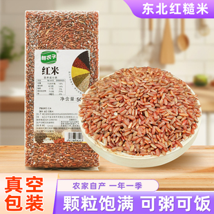 真空装红糙米胚芽米24年农家新货粳稻米红米主食代餐粗粮粥米饭