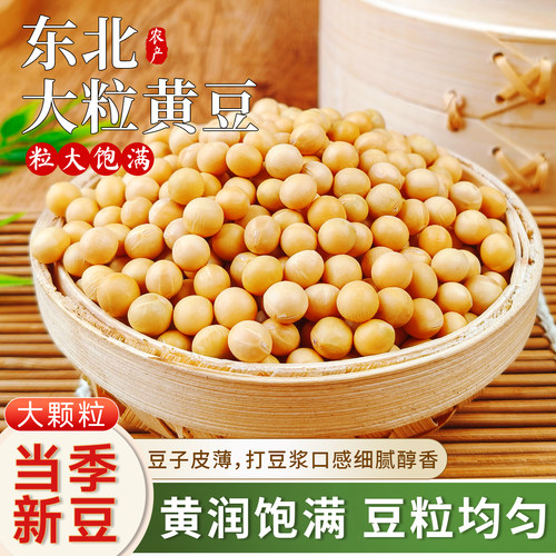 黑龙江东北非转基因新黄豆农家自种大豆生豆芽打豆浆专用豆子尝鲜