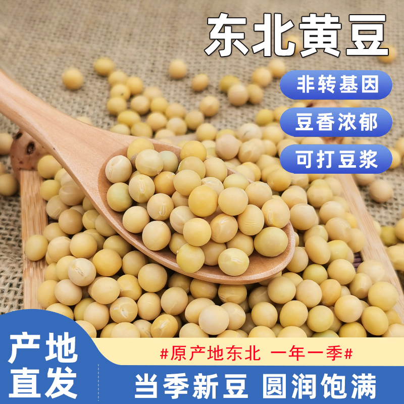 东北黄豆非转基因农家自种植大豆生豆芽打豆浆专用当季五谷杂粮