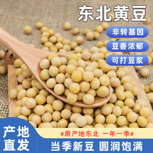 东北黄豆非转基因农家自种植大豆生豆芽打豆浆专用当季 五谷杂粮