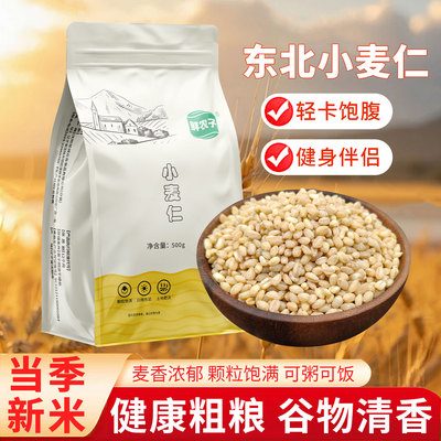 麦仁米新米去皮小麦仁胚芽米五谷杂粮煮粥米饭脱壳新鲜健康粗粮