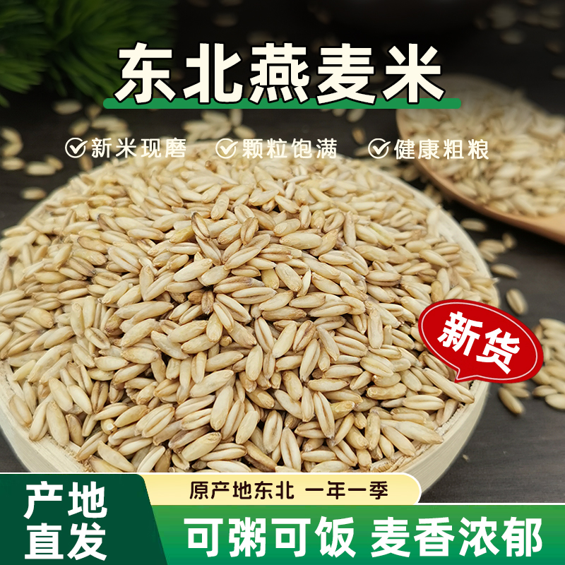 东北燕麦米新米燕麦仁裸燕麦粒生正宗煮粥破壁全胚芽米五谷杂粮